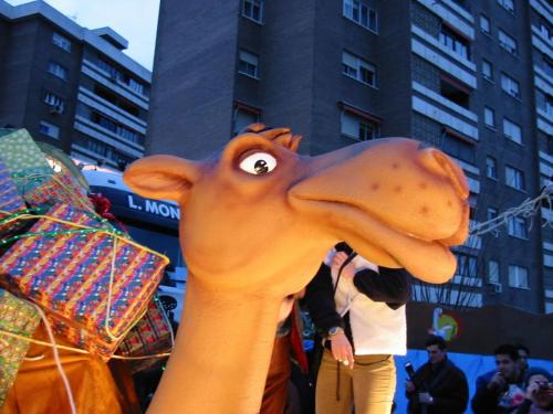 Cabalgata - Reyes con camello desmayado - 2002